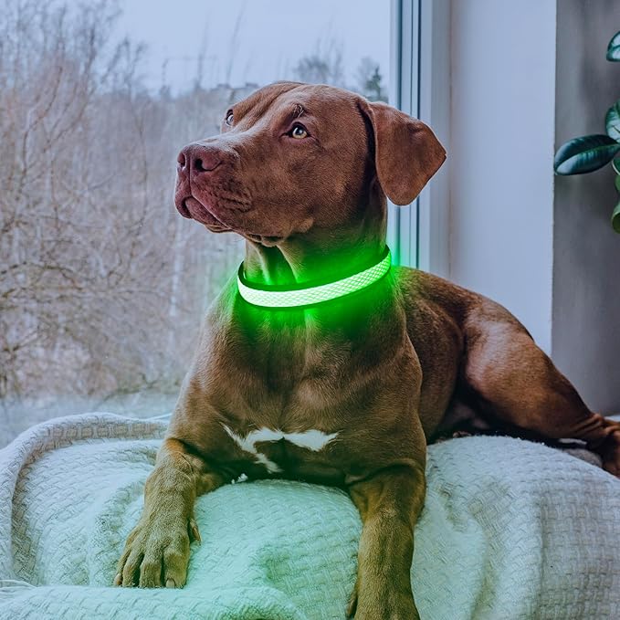 Flashseen LED Dog Collar, Light Up Dog Collar USB Rechargeable, Brightest Dog Lights for Night Walking, Adjustable Dog Collar Light for Dog Safety (Green, Small)