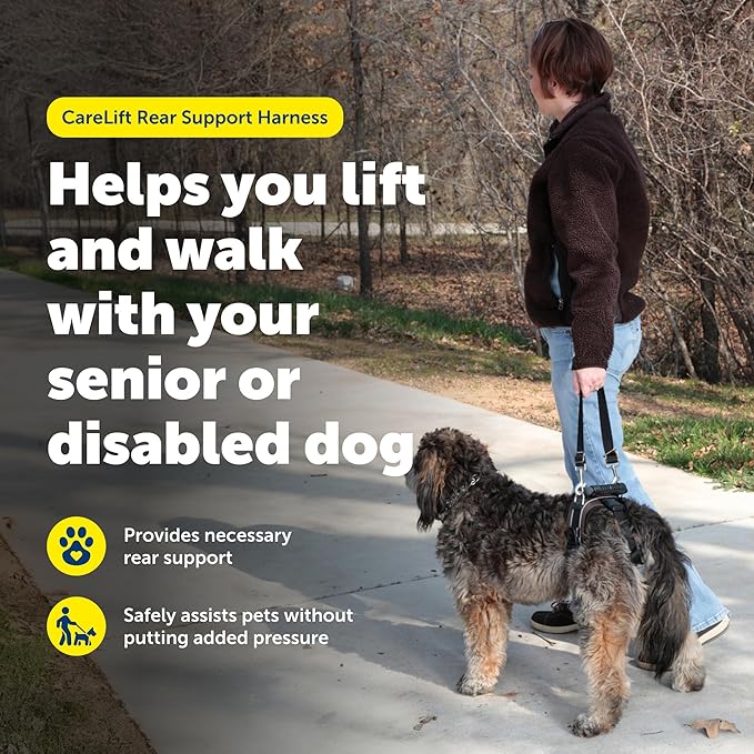 PetSafe Adjustable Dog Lifting Harness - Senior & Disabled Dog Rear Mobility Support - Easy-Fitting, Breathable Belly Straps with Lifting Aid Handle & Shoulder Strap - For Medium Dogs 35-70 lb