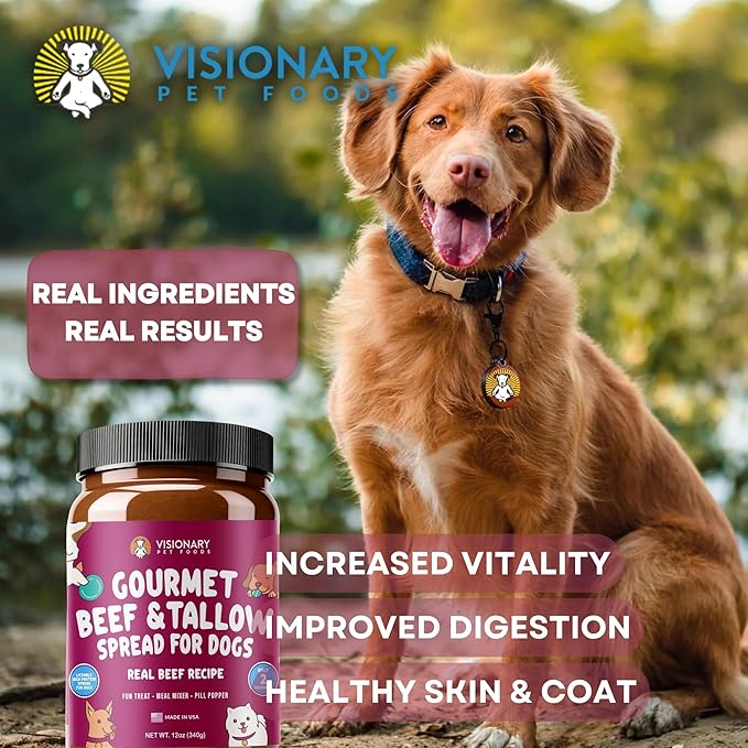 Visionary Pet Foods Beef Meat Spread - Healthy Dog Treat - Alternative to Dog Peanut Butter, Xylitol Free, No Sugar and Filler Free - Use on Lick Mat, Food Mixer, Pill Pockets - 12oz Jar