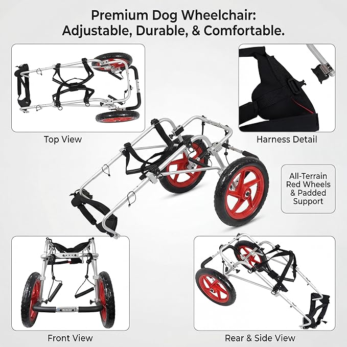 Best Friend Mobility Large Back Leg Dog Wheelchair | 2.0 Design | 2026 Updated Model