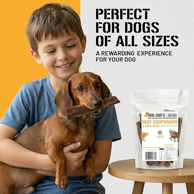 Dog Chits Beef Esophagus Chews for Dogs & Puppies - All Natural Single Ingredient - High Protein, Low Fat Beef Jerky Chew - Safe for All Breeds - Great for Joint - Dental Clean Crunch - 6 inch, 10 oz