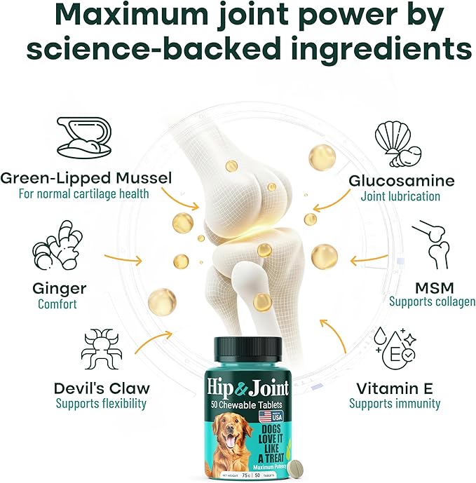 Hip & Joint Supplement for Dogs, 300mg Green-Lipped Mussel for Dog Arthritis Pain Relief, Glucosamine, MSM & Chondroitin, Zero Sugar, Large Medium Small Breeds, 100 Chewable Tablets