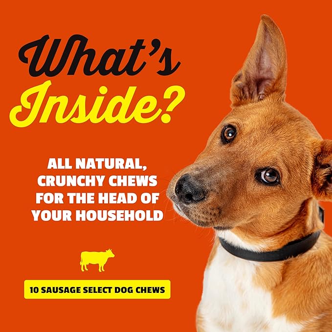etta says! 7" Select Crunchy Dog Chews - Rawhide-Free Dog Treats - Made in the USA - Odor-Free, All-Natural Ingredients - for Moderate Chewers - Sausage - 10 Pack