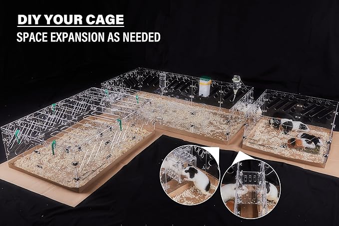 Acrylic Guinea Pig Cages - 4x2ft Small Animal Cage | DIY Extendable | Easy-to-Clean Disposable Bottom (Without Lid)