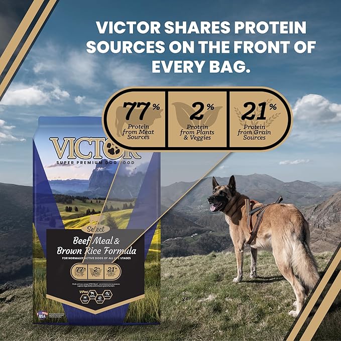 VICTOR Super Premium Dog Food – Select Beef Meal & Brown Rice Formula for Immune and Gut Health – Gluten-Free Beef Meal Dry Dog Food for All Normally Active Dogs of All Life Stages, 30 lbs