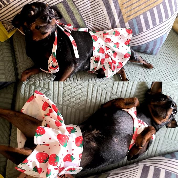 Junchl Small Dog Bikini,Summer Pet Swimsuit Puppy Bathing Dress Beach Clothes, Hawaiian Party Pet Costume Outfit for Puppy Cat Kitten Strawberry S