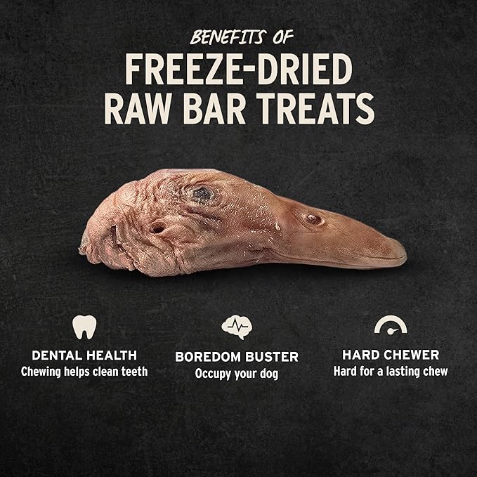 Vital Essentials Freeze-Dried Raw Duck Head Dog Treat & Long-Lasting Natural Chew, 1-Pack | Single Ingredient Dog Treat for Aggressive Chewers | Made in USA
