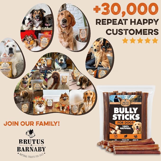 BRUTUS & BARNABY 6 Inch Bully Sticks for Dogs (50 Count) - Natural Grass-Fed Beef Chew Sticks, Odor Free, Single Ingredient, Fully Digestible, Rawhide Free - Bulk Pack for Small, Medium & Large Dogs