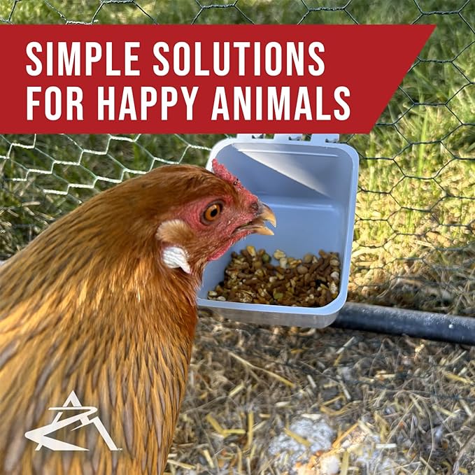 The ROP Shop 36-Pack - 16oz Gray Cage Cups for Feed & Water for Poultry Ducks, Birds, Hamsters