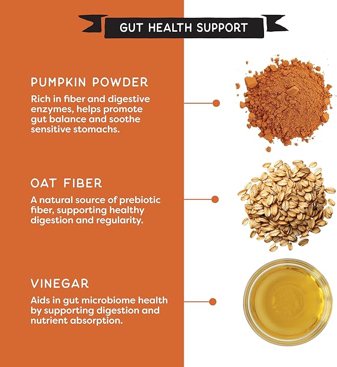 CHAMPS Soft Dog Treats for Digestive Support/Gut Health & Training Snacks Made with Pumpkin, Oat Fiber & Vinegar - Beef Sliders - 16 oz