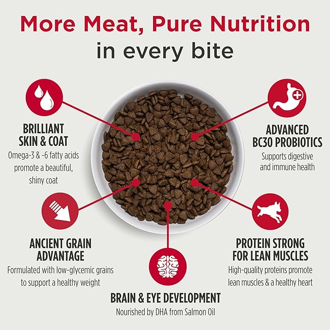 Nulo Frontrunner Puppy Food - High-Protein Chicken, Oats & Turkey Recipe Kibble, Natural Dry Dog Food with DHA, Ancient Grains, Probiotics, Taurine, Omega 3 for Small, Medium & Large Breeds, 25lb Bag