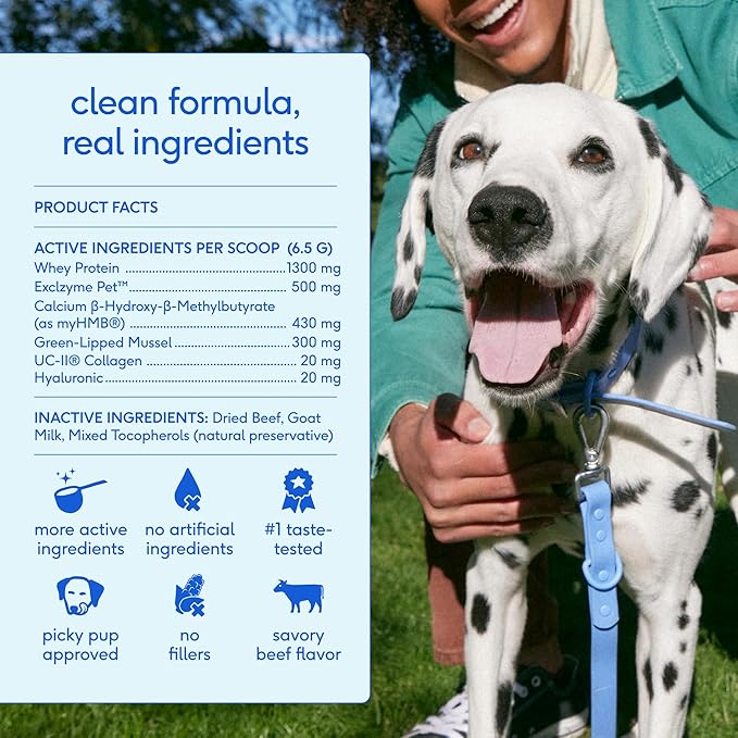 Native Pet Hip & Joint Advanced Care Dog Joint Supplement Powder for Mobility & Movement Support, Joint Supplement for Dogs with HMB, UC-II Collagen, Green Lipped Mussel & Hyaluronic Acid – 30 Scoops