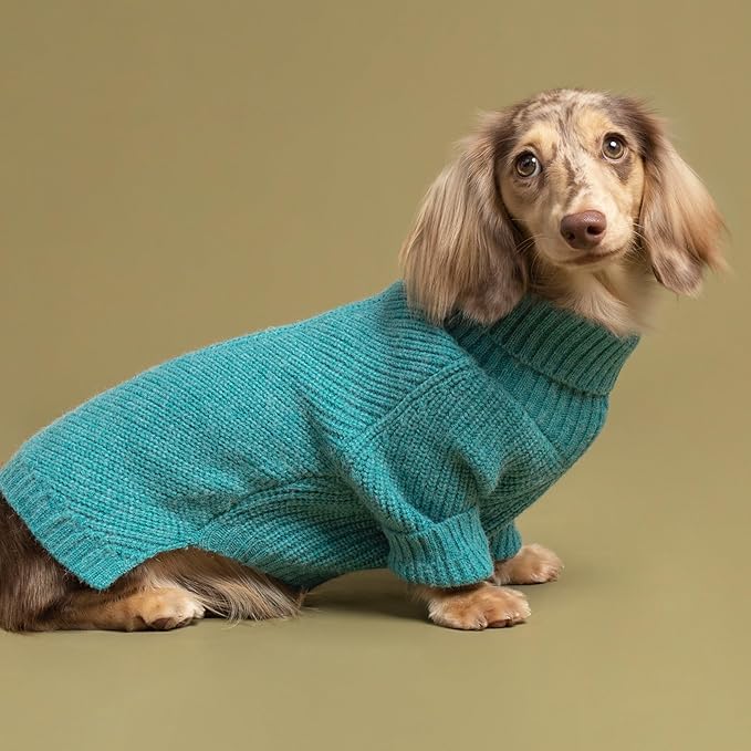 Fitwarm Medium Turtleneck Dog Knitted Sweater, Teal Blue Thermal Winter Dog Clothes for Small Dogs - Pullover Jumper Pet Outfit