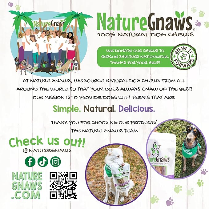 Nature Gnaws Beef Trachea Chews for Dogs 3" (12 Count) - Long Lasting Natural Crunchy Dog Chew Bones - Rawhide Free