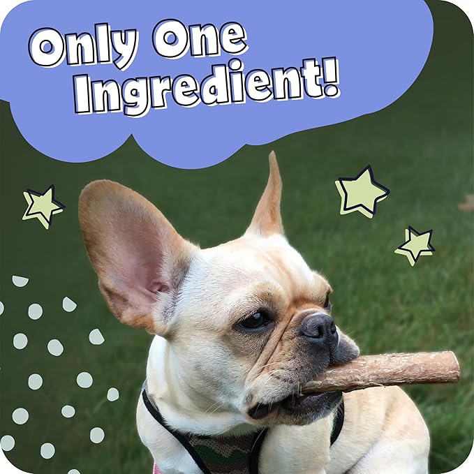 Pawstruck 6 Inch Bully Sticks with Bonus Inch for Dogs (5 Pack) - All Natural Beef Pizzle, Long Lasting, Rawhide-Free, Low Odor, Single Ingredient Dog Chews & Dental Treats