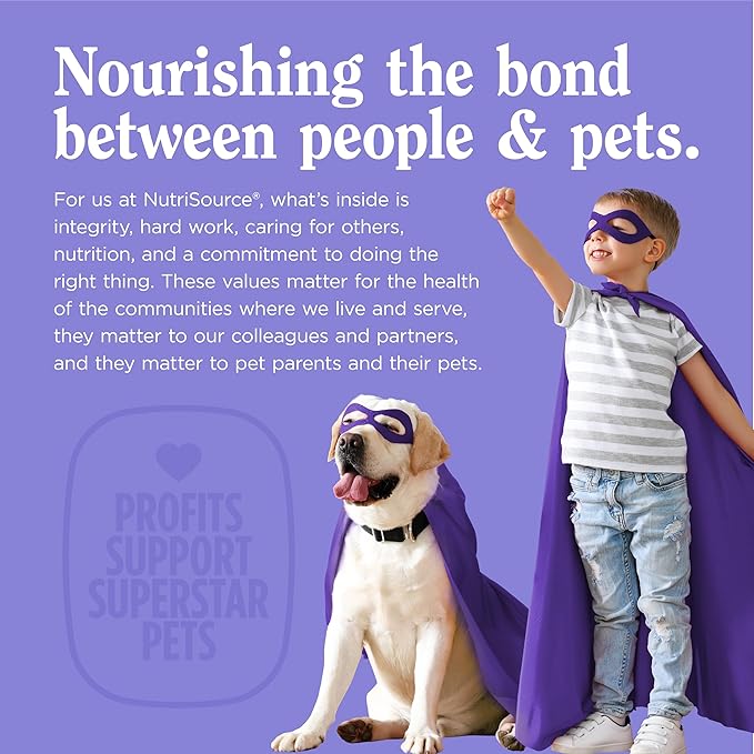 NutriSource AmpliFull Turkey Flavor Calming Dog Soft Chews, Daily Anxiety & Stress Relief Supplement for Dogs, High Absorption for Relaxation, 70 Chews (1 Pack)