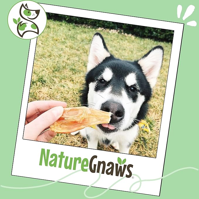 Nature Gnaws Beef Tendons for Dogs (1Lb) - Mixed Thickness - Long Lasting for Small and Medium Dogs - Natural Beef Jerky Dog Chew Bones - Rawhide Free