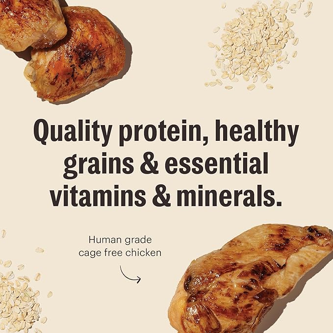 The Honest Kitchen Human Grade Essential Clusters Dry Dog Food, Whole Grain Chicken 5 lb Bag