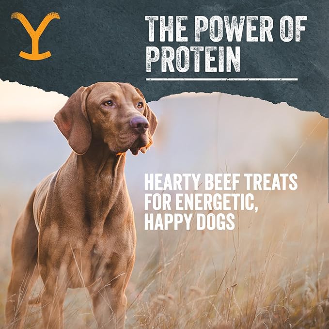 Authentic Yellowstone Dutton Ranch Dog Treat Co. - Single Ingredient Organ Meat: Beef Hearts - Premium Dog Treats with No Additives, Preservatives or Fillers - Made in The USA - 4oz
