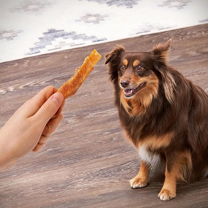 Golden|Rewards Dog Treats, Sweet Potato Wrapped with Chicken, 16 oz, Natural Chews for All Dog Sizes, Real Chicken Breast, Grain-Free, Low Fat, Great for Training, Healthy Daily Snack