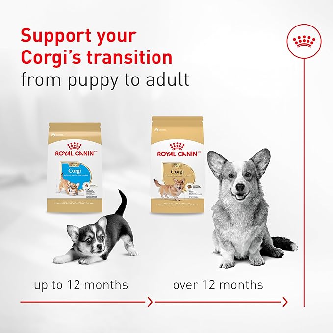 Royal Canin Corgi Adult Dry Dog Food, Kibble for Corgis 12 Months+, Supports Digestion and Weight Management, 27 lb Bag