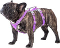 Huntboo Escape Proof Dog Harness, Escape Artist Harness, Reflective Harness with Padded Handle, Breathable, Adjustable Vest for Medium Dogs Walking, Training, and Running Gear (Lavender Purpled, M)