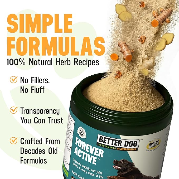 Better Dog Supplements Forever Active by Cesar Millan – Natural Dog Hip & Joint Care for Mobility, Flexibility & Comfort – Herbal Blend Dog Joint Supplement Powder – 4oz (60-Day Supply)