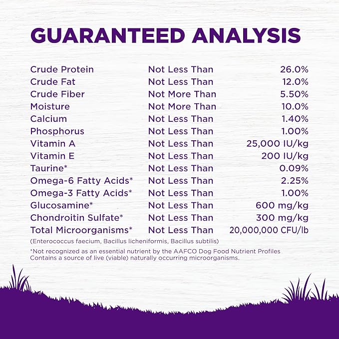 Wellness Complete Health Dry Dog Food, Grain Free, Natural, Lamb Recipe, (24-Pound Bag)