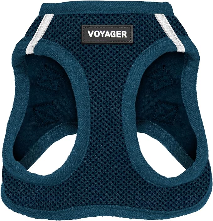 Best Pet Supplies Voyager Step-in Air Harness - All Weather Mesh, Reflective, No Pull Harness for Dogs, Cats - Secure with Hook & Loop Fastener, Buckle, Double D-Rings - Blue, XXS