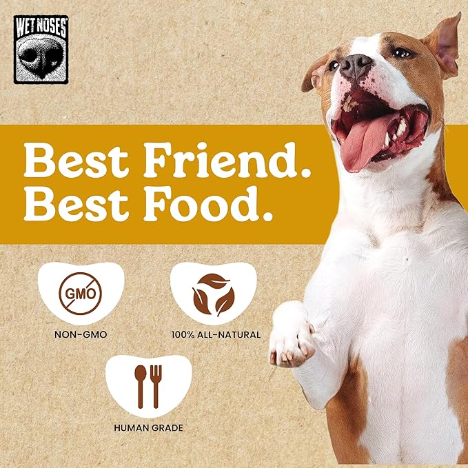 Wet Noses Moments Non-GMO Cheezy Pretzel Crunchy Dog Treats - 14oz | No Corn, Wheat, Soy or Peas, Made with 5 Simple Ingredients