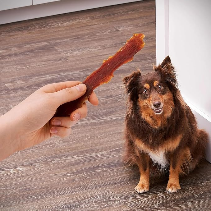 Golden|Rewards Duck Jerky Dog Treats, 16 oz Bag, Real Duck Breast, Only 3 Ingredients, Low Fat, Grain-Free, No by-Products, No Corn Wheat or Soy, Natural High Protein Chews for All Dog Sizes