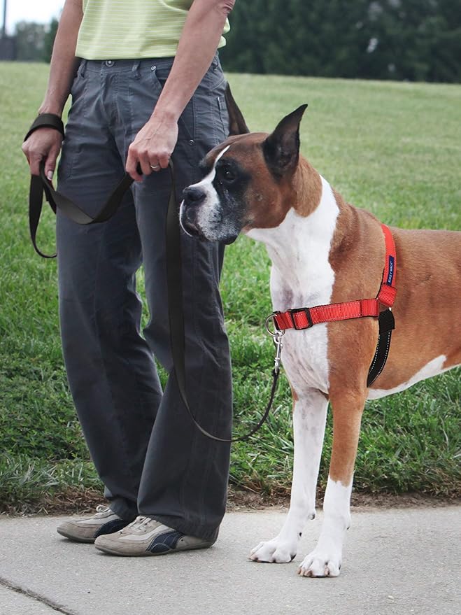 PetSafe Deluxe Easy Walk Harness - Trainer-Trusted Dog Chest Harness with Breathable Martingale Loop Design - Helps Stop Pulling with No Choking & Gagging - Medium/Large - Rose