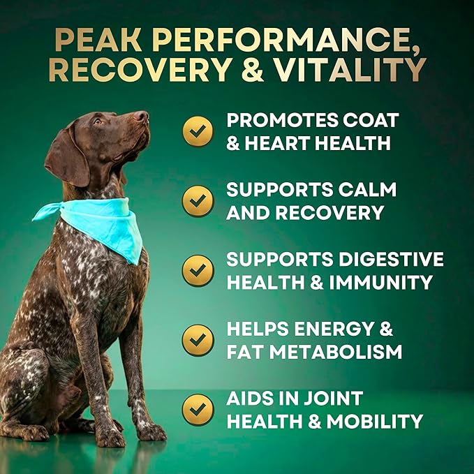 High-Performance & Longevity Soft Chews for Hunting, Sport and Working Dogs with Glucosamine, Chondroitin, Omega-3, Antioxidants, Ashwagandha, Probiotics, Beef Flavor, 90 Count
