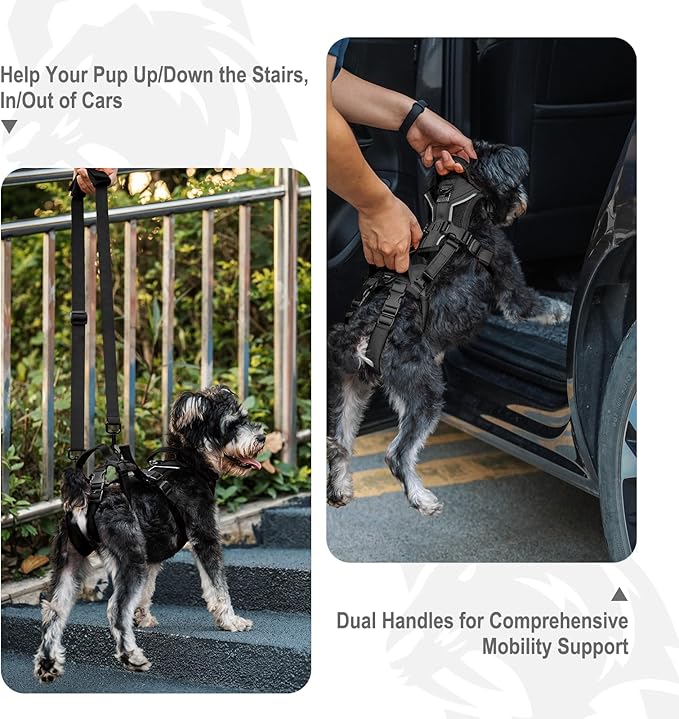 OneTigris Dog Lift Harness for Small Dogs XS, Dog Sling Carrier for Small Dogs, Full Body Lift Vest with Reflective Straps, Support Harness for Back Legs (Black, XX-Small)