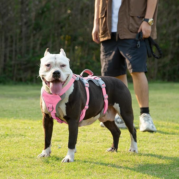 Huntboo Escape Proof Dog Harness, Escape Artist Harness, Reflective Harness with Padded Handle, Breathable, Durable, Adjustable Vest for Medium Dogs Walking, Training, and Running Gear (Pink,M)