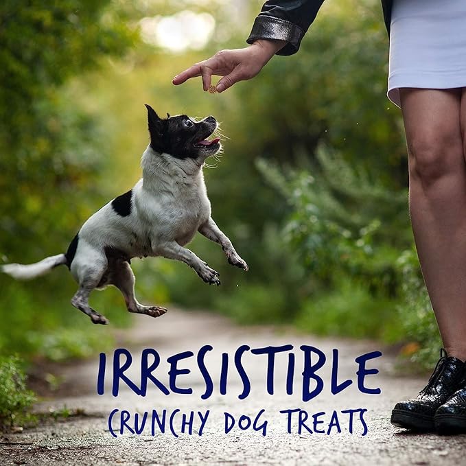Fruitables Skinny Mini Low Calorie Dog Treats, Healthy Soft Sweet Potato Training Dog Treats for Senior Dogs or Pups, 12 oz (Variety Pack of 3)
