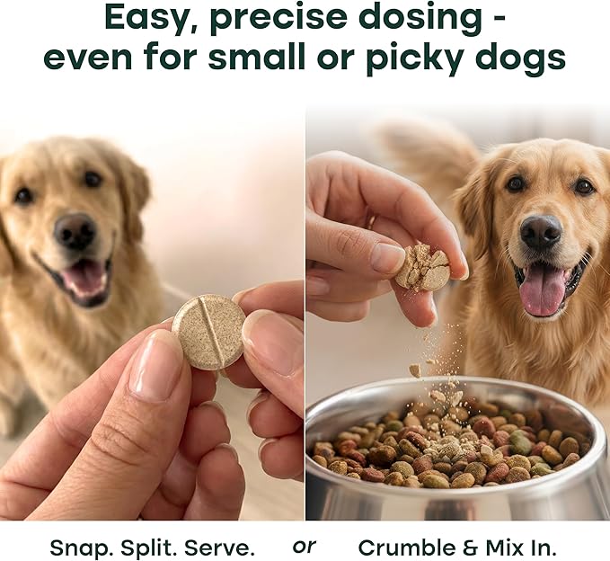 Hip & Joint Supplement for Dogs, 300mg Green-Lipped Mussel for Dog Arthritis Pain Relief, Glucosamine, MSM & Chondroitin, Zero Sugar, Large Medium Small Breeds, 50 Chewable Tablets