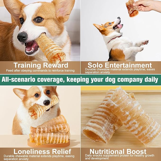 6 Inch Beef Trachea Dog Chews (6pcs - 8oz)-Trachea Dog Treats,Digestible and Safe Chews for Dogs - Natural High Protein for Medium & Large Dogs,Teeth Grinding & Cleaning, Supports Dental Health