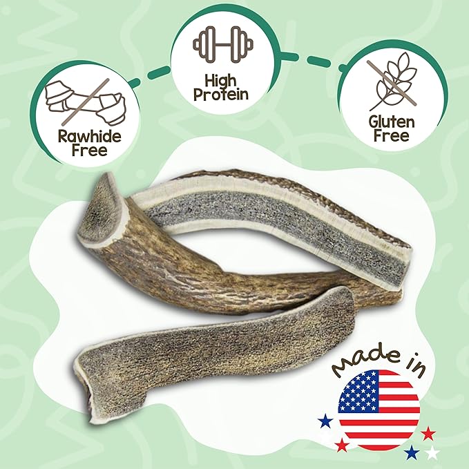 Nature Gnaws USA Elk Antlers for Dogs 5-8" (1 Count) - Long Lasting for Aggressive Chewers and Large Breeds - Natural Dog Chew Bones