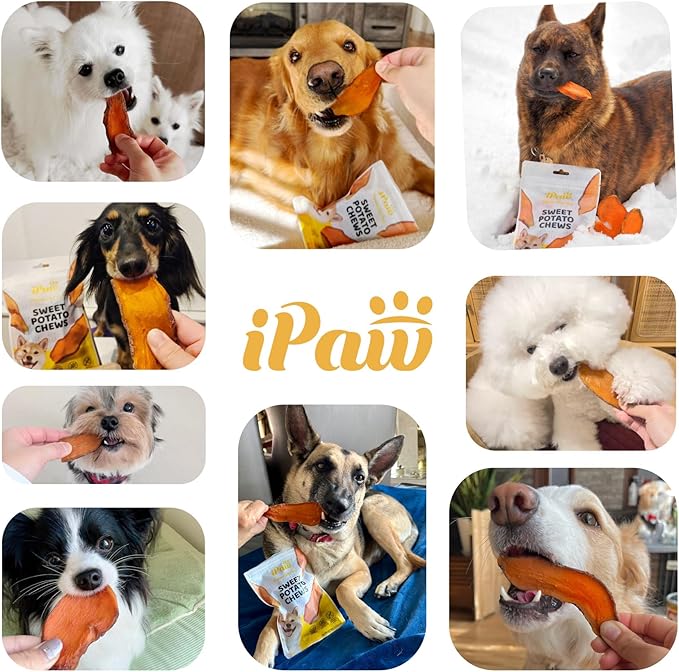 iPaw Sweet Potato Chews, Single Ingredient Dog Treats for Vegetarian, All Natural Human Grade Puppy Chew, Rawhide Alternative, Hypoallergenic, Easy to Digest, 5 Packs