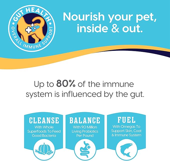 Solid Gold Chicken Bone Broth for Dogs - Grain Free Dog Food Topper Rich in Collagen and Superfoods - Nutrient Dense Dog Gravy Topper for Dry Food - Promotes Gut Health and Hydration - Single