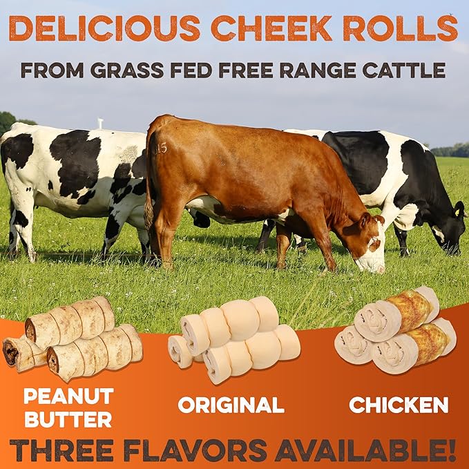 Premium Beef Cheek Rolls for Dogs 10-12" - (3-Pack), Peanut Butter Flavored Long Lasting, Safe & Natural Rawhide Alternative Chews, Ideal for Large Dogs & Aggressive Chewers, Supports Dental Health