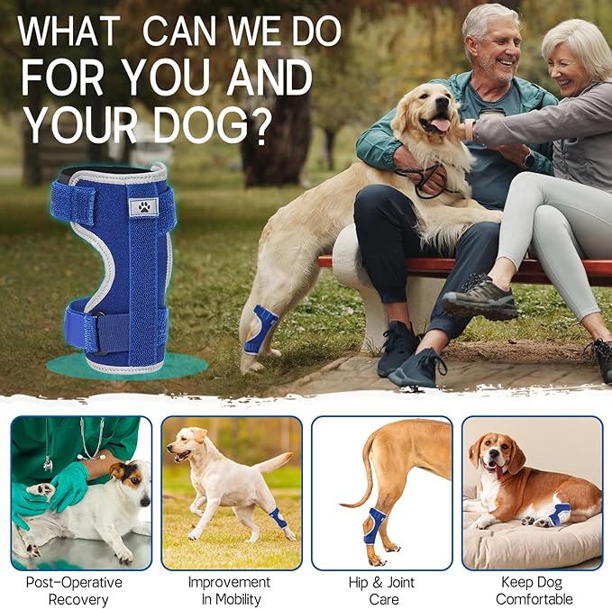 Supet Dog Leg Brace for Back Leg - Hock & Ankle Joint Support for Rear Legs with 2 Metal Springs, Anti-Slip Design & Reflective Trim for Sprain, Arthritis, Injury & Wound Recovery (Blue, 2XL)