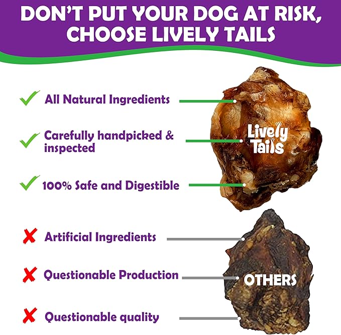 Dog Bones for Aggressive Chewers, Knee Caps for Dogs, Beef Bones for Large Dogs, Medium, and Small, Long Lasting Knee Bone for Dog, 10 Count
