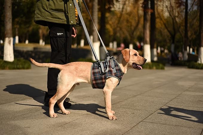 ROZKITCH Dog Lift Harness, Grid Pet Chest Support Aid Veterinarian Approved Sling for Old K9 Help With Poor Stability, Front Legs Disabled Joint Injury Elderly Arthritis ACL Rehabilitation Rehab