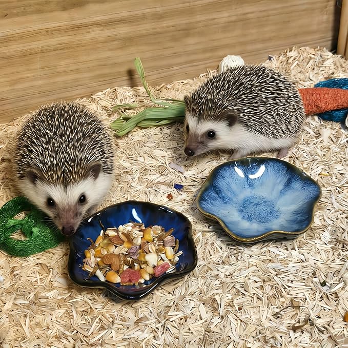 Kathson Ceramic Hamster Food Bowl, Guinea Pig Food Bowls,Rats Anti-Turning Feeding Dish,Small Animals Water Drinking Bowls for Squirrel, Chinchilla, Hedgehog, Gerbil, Dwarf Syrian (4 pcs Lotus Leaf)