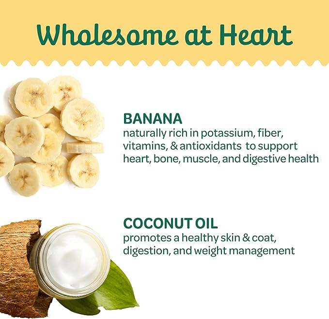 Wholesome Pride Banana Bites Dog Treats – 2-Ingredient Banana Chips for Dogs, Grain-Free, Banana & Coconut Oil, 16 oz
