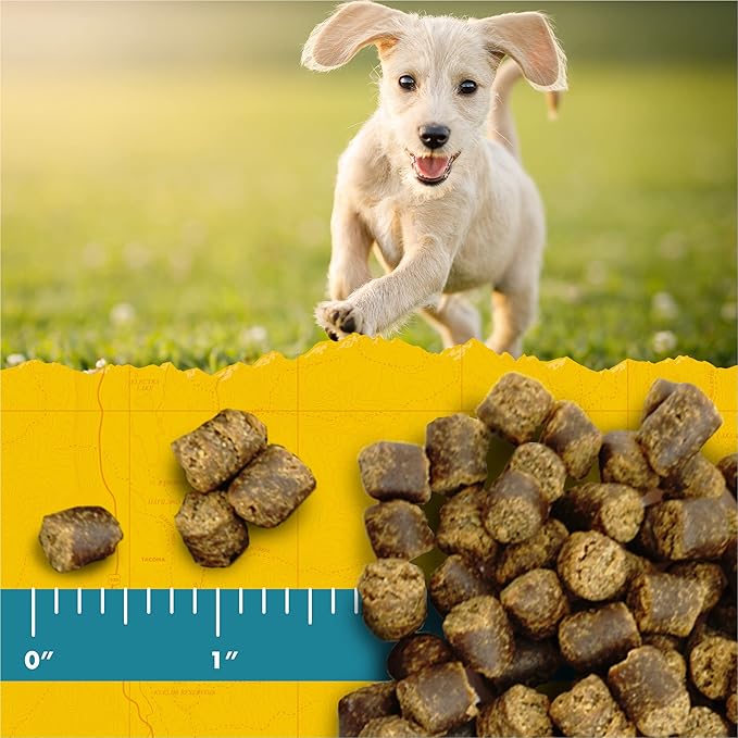 Zuke's Puppy Naturals Dog Treats Salmon & Chickpea, 5 Ounce (Pack of 3)