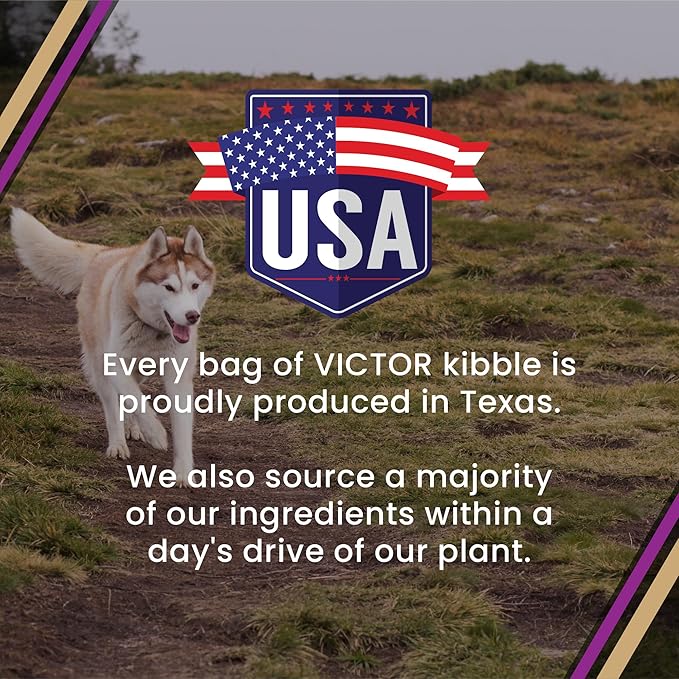 VICTOR Super Premium Dog Food – Professional Kibble Food – Super Premium Kibble with 26% Protein – Gluten-Free with Beef, Chicken & Pork Meals – for High Energy and Active Dogs & Puppies, 5lbs