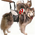 Dual-use Dog Lift Rehab Hareness Canine Sling for Large Pooch Rear Legs and Hip Support,Adjustable and Soft Brace Strap for After ACL Surgery, Helps Senior, Injured and Disabled K9